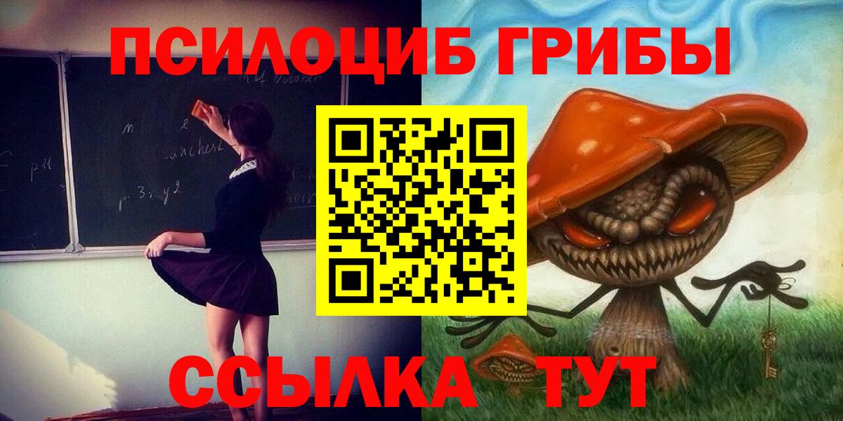 Псилоцибиновые грибы Cubensis Кольчугино